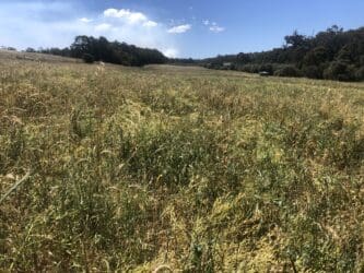 bb document image preview activity image