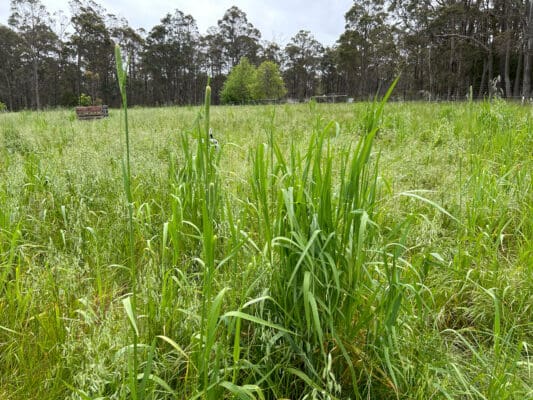 AE6B0CF9-545D-4CA9-B4F3-B0D989B6B257