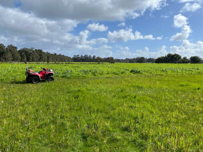 18F16833-4E9C-4168-BEFB-BE36BE6B01F1