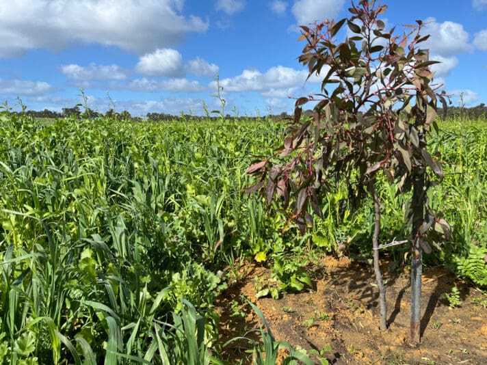 473E2BE2-0082-48F3-B9BE-295026910662