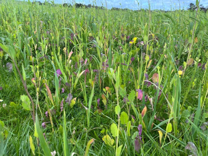 A7BC549D-26ED-47F4-B37B-3C8FD231D286