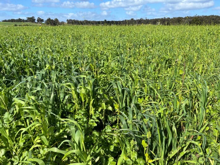 946C3A8B-E442-4AF8-B606-C843483AB7F4