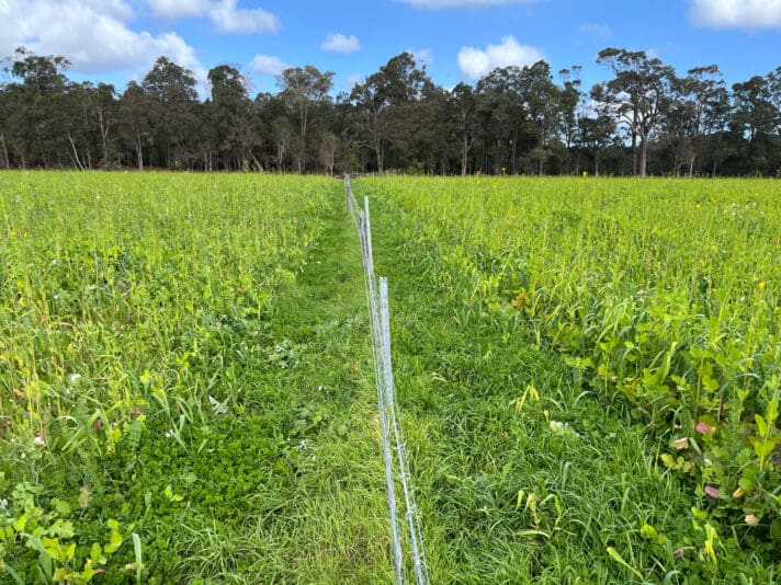 26C006D9-0D41-4780-BE5A-28E987C7A5DD