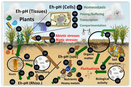 Screen Shot 10-04-23 at 10.36 AM