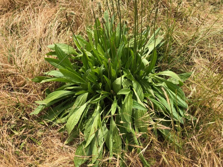 035DBA05-D3DF-4212-AFD9-455960F73356