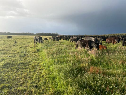 AF0B2F24-0BA3-4B75-82D4-CD760A02C94E