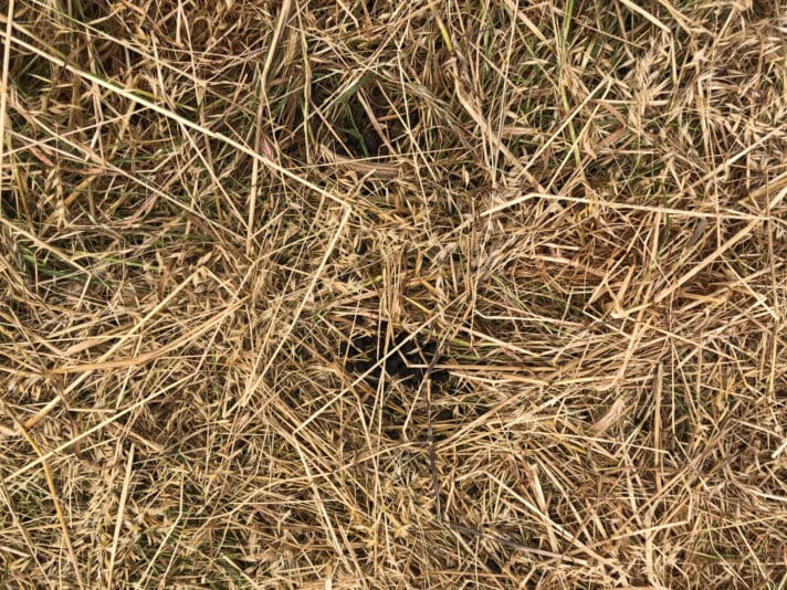 AEB90C42-B187-407E-9442-BF8EEC5A9A67