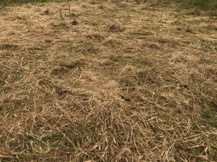 56870096-A14D-4510-940A-7694A5F87E25