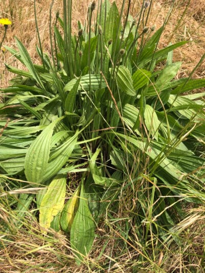 6D420958-885C-4383-A9AA-358DD29B835F