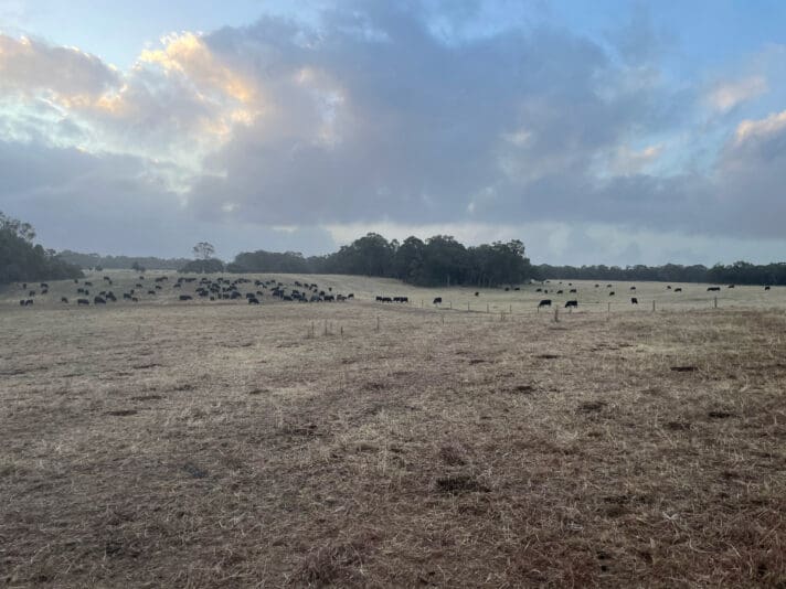 1EF2F1FF-10B7-48B1-BF67-5365B6462B61