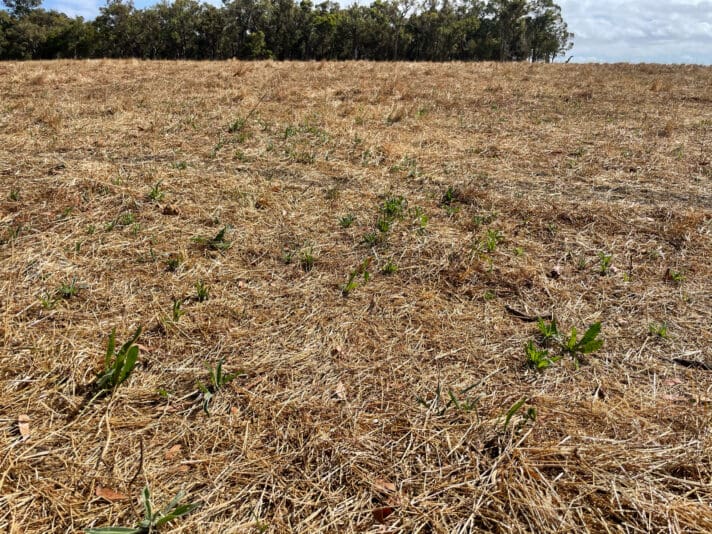 CCD6BC2D-A613-46EE-A616-0F3F751FEB41