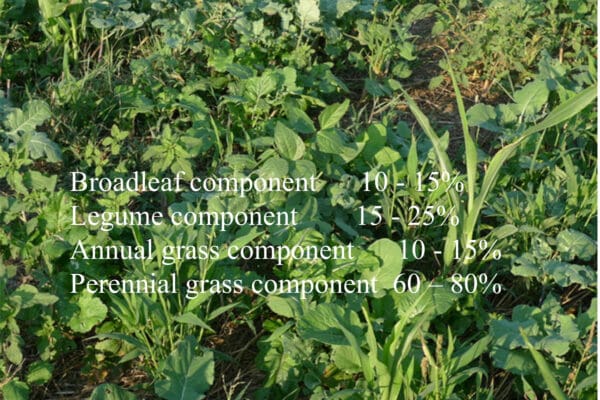 62EC6515-0EA2-4168-BA84-9C6A27F218EB