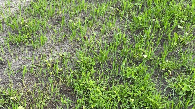 bb-media-photos-popup-image