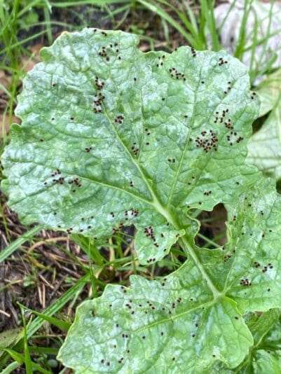 bb-media-photos-popup-image (1)