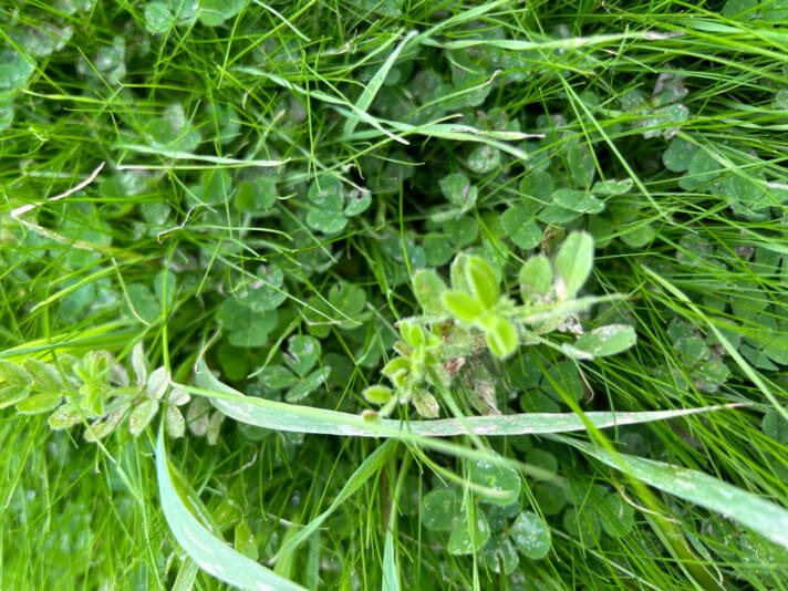 6918D979-6C3C-47DC-B06A-C99D1620F8B6