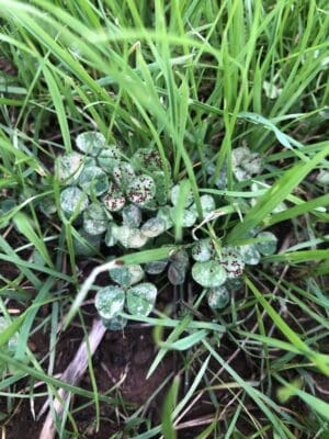 3863A665-EC2D-4D37-BFA9-E568B5B54D74