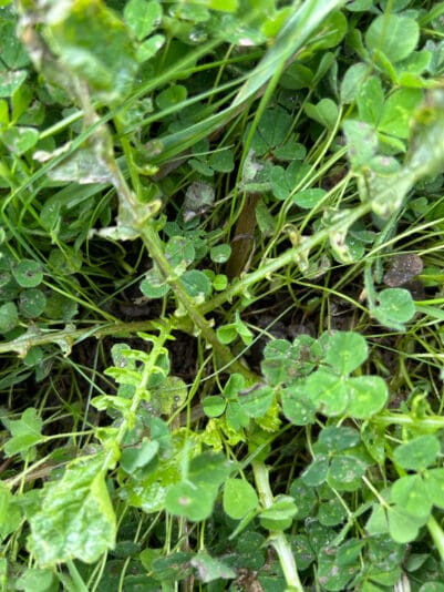 85CA5317-DD22-4CE3-8BDA-997E2B903F4F