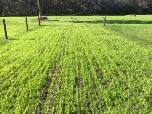 2ABB1F52-D998-4DAD-889E-466AB3361088