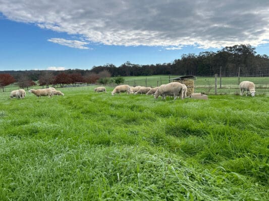 56D258F8-C915-434C-BECD-F569D8FD7AB0