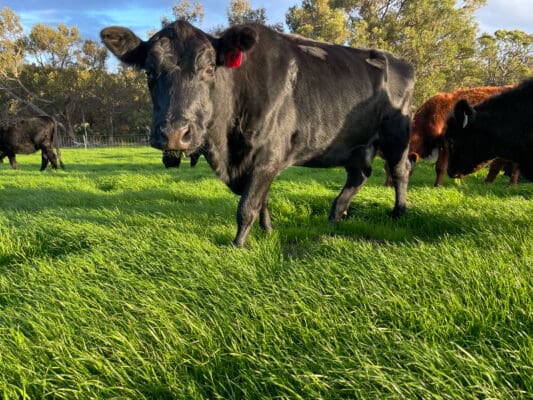 D60CE9C2-2908-4013-8B1B-99314E244DA1