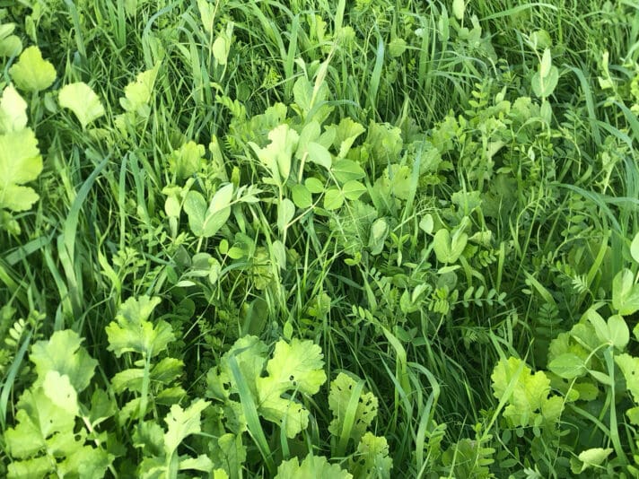 935722A4-9177-4664-B869-5CD9DB386897