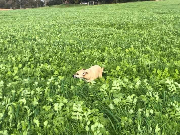 7B4E3AE0-BA1E-4B4B-AE20-543555949A42