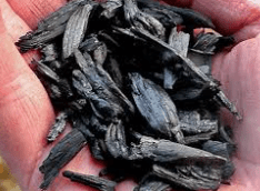 Screen Shot 06-27-24 at 12.33 PM