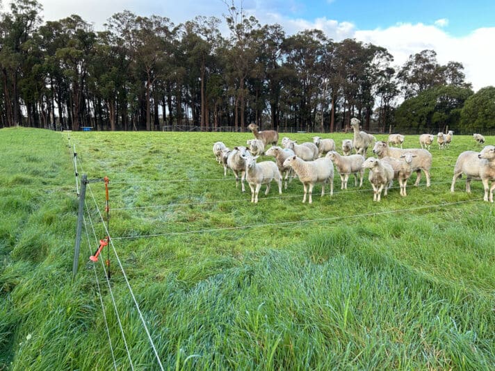 71C7C596-AF73-4947-8B15-AB927067BAC8