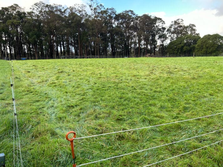 3E0937F2-0ABF-4F8C-9297-C921F5184282