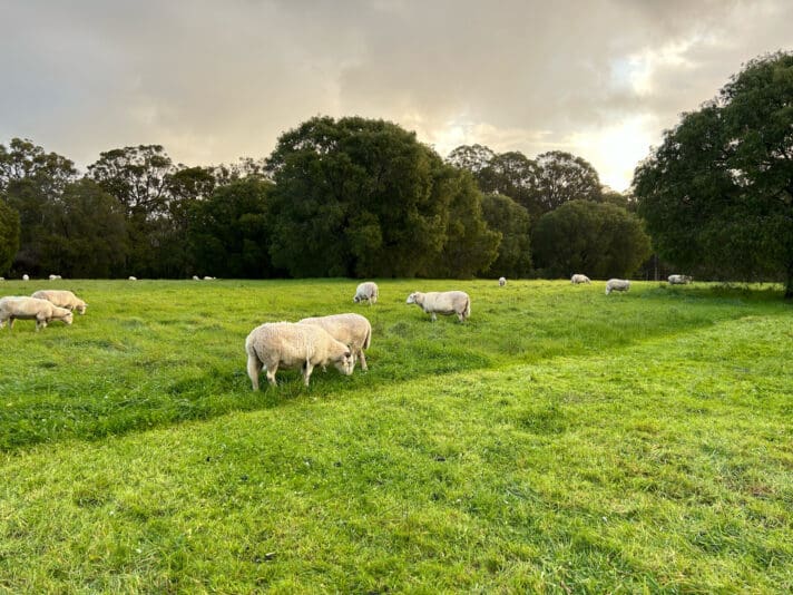 5F068875-DCD1-47DD-8FCF-39414BE5B636