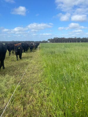 4BC6AF0B-114C-45EA-9BC6-9279D3D166CE