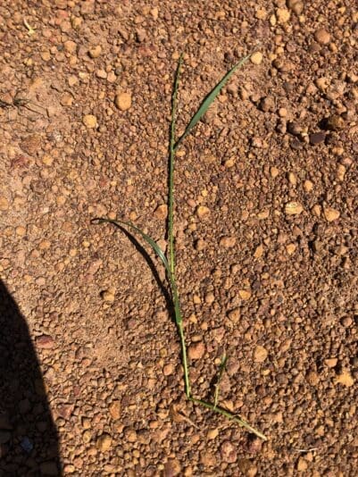 Inadequately Recovered