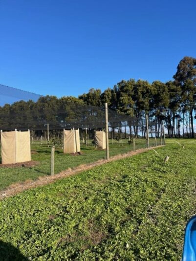 bb-media-photos-popup-image (1)