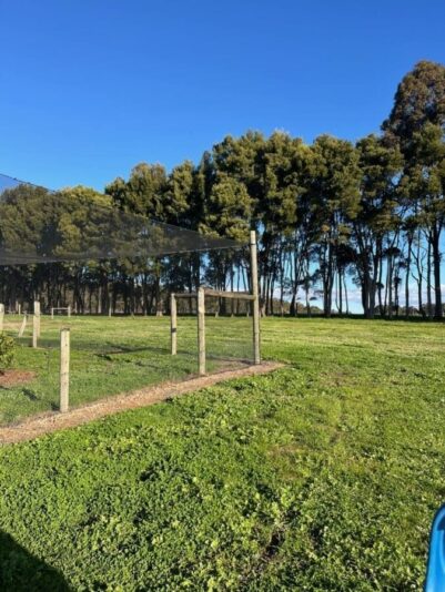 bb-media-photos-popup-image (2)