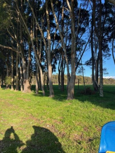 bb-media-photos-popup-image (3)