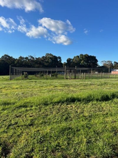 bb-media-photos-popup-image (4)