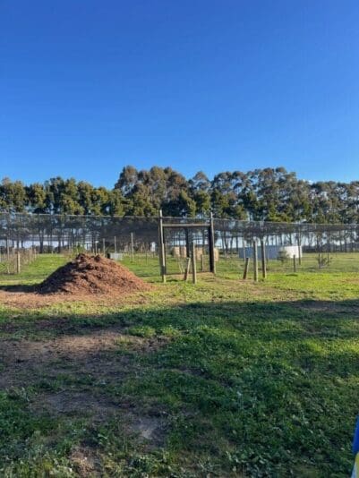 bb-media-photos-popup-image