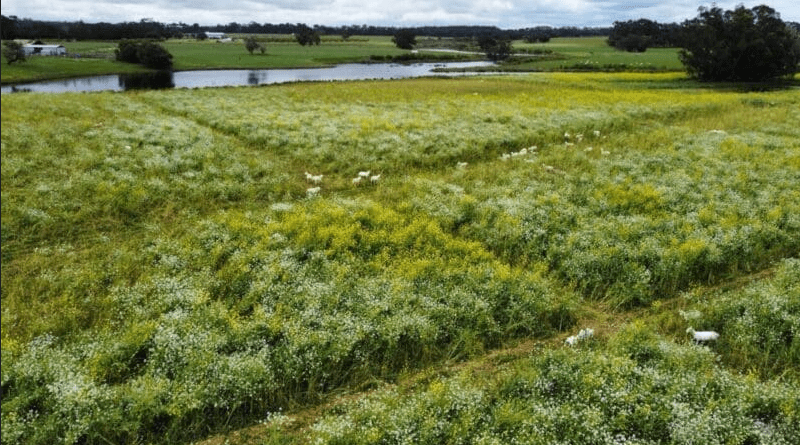 Screen Shot 10-07-25 at 11.03 AM