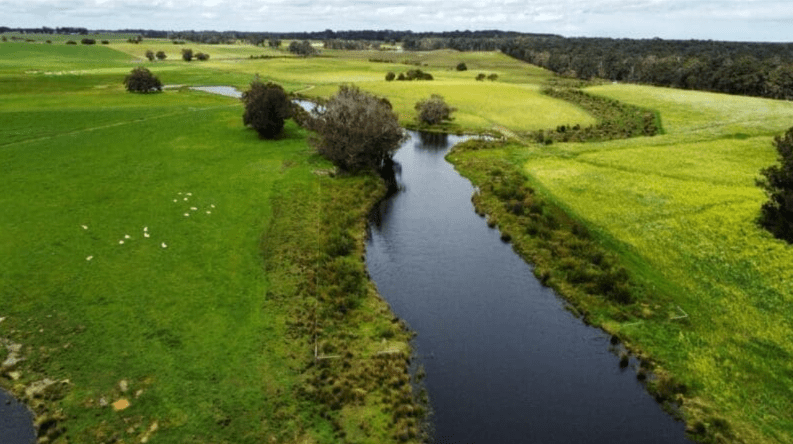 Screen Shot 10-07-25 at 11.04 AM