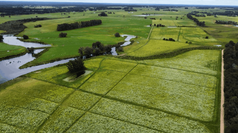 Screen Shot 10-07-25 at 11.05 AM