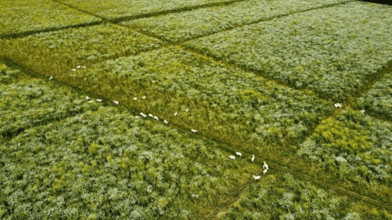 Screen Shot 10-07-25 at 11.04 AM 001