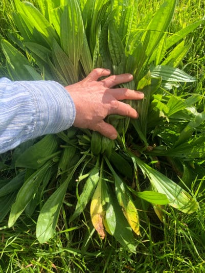 D4BD9D01-16CF-4FED-9FE8-FF2A18B6921D