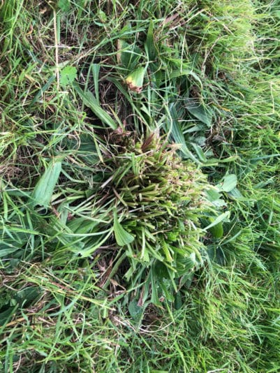 5345325D-8D23-4146-8A40-AE010F5D8D6C