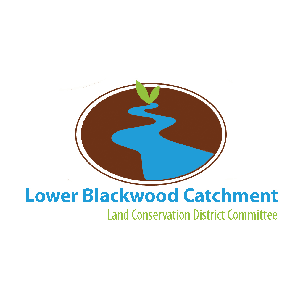 Lower Blackwood LCDC