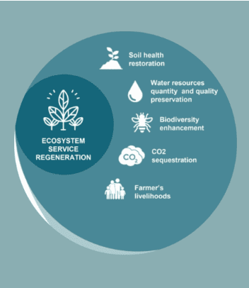 Screen Shot 06 26 24 at 03.48 PM