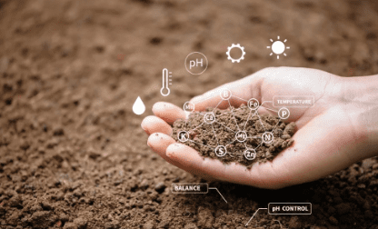 Soil Fertility