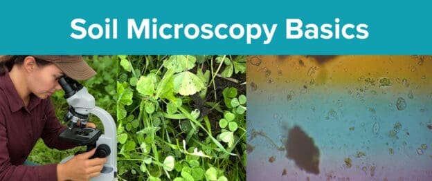 Screenshot 2025 05 07 134722