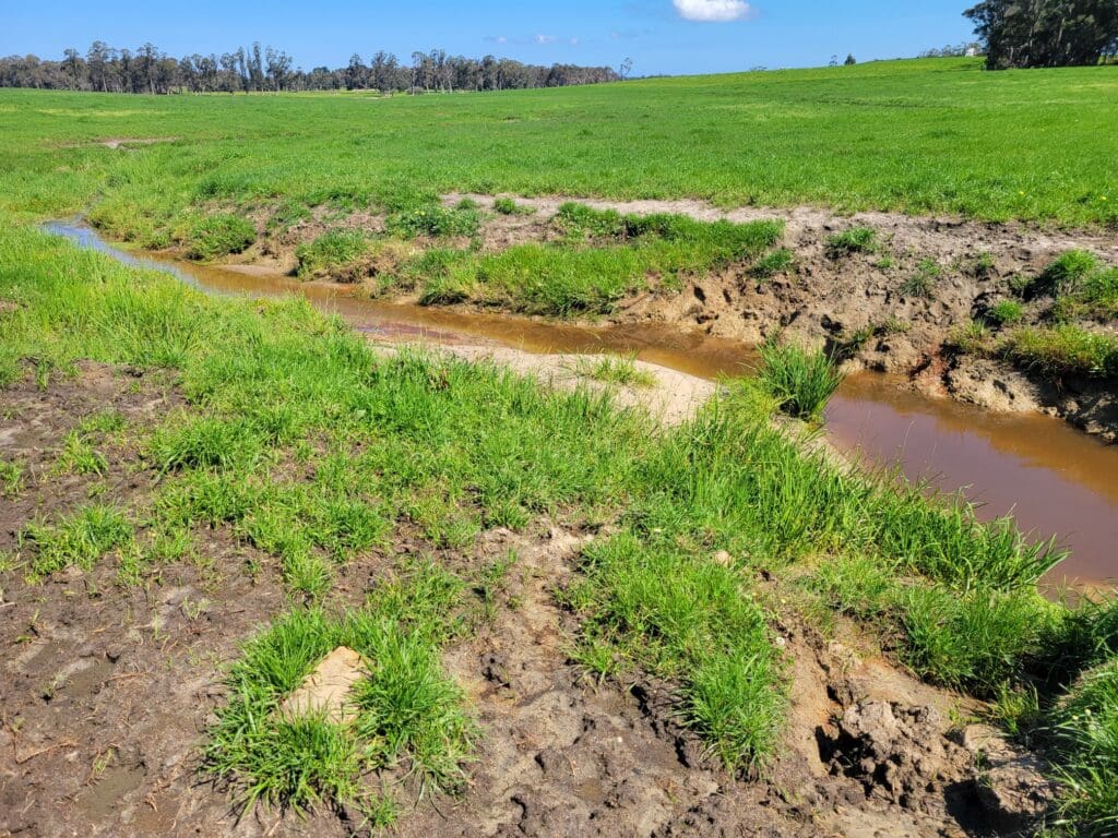 Fencing & Revegetation of Riparian Zones 2 20230921 131511 resized