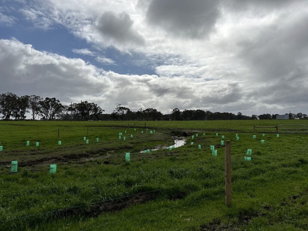 Fencing & Revegetation of Riparian Zones 3 RO83721