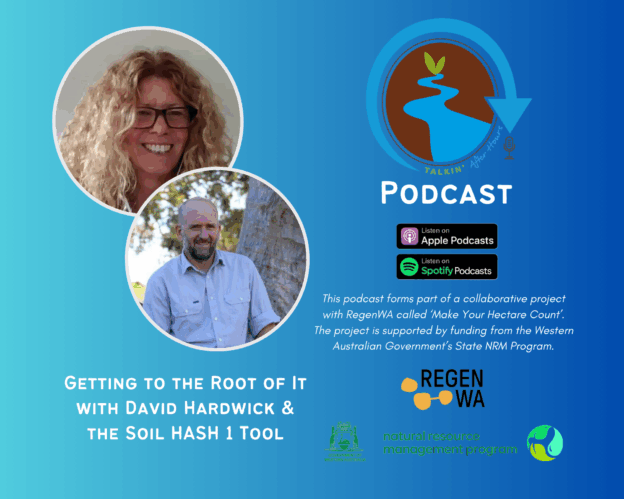 Getting to the Root of It with David Hardwick
